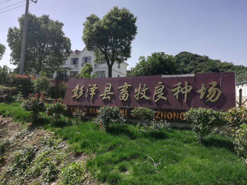彭澤縣畜牧良種場(chǎng)